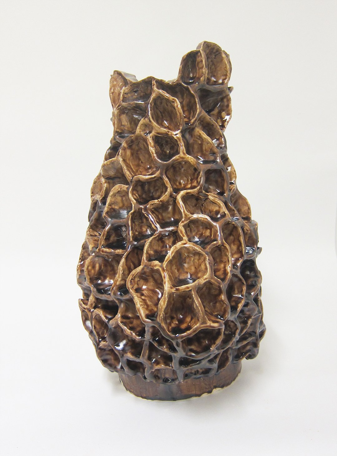 Morel Head